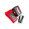 Chargers/Inverters